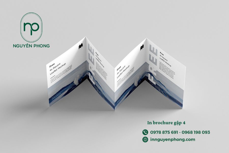 kich-co-brochure-in-nguyen-phong
